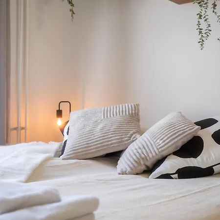 Christmas Star By Lapland Host *