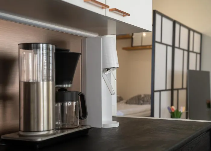 Christmas Star By Lapland Host * 로바니에미