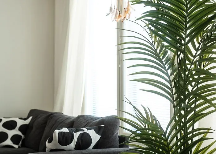 Christmas Star By Lapland Host * 로바니에미